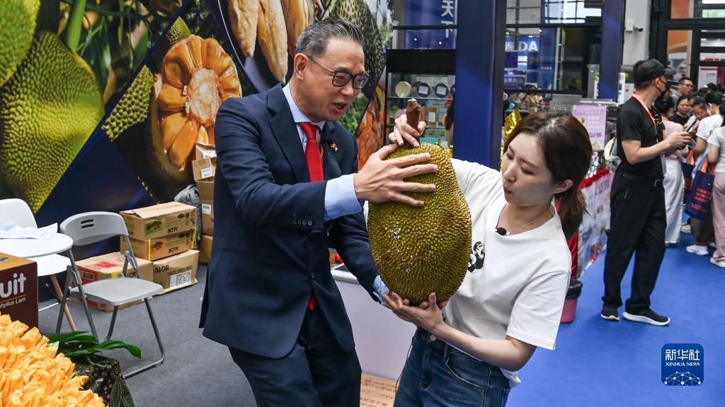 现金下分捕鱼